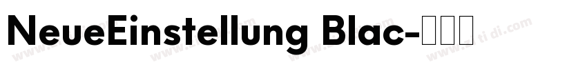 NeueEinstellung Blac字体转换